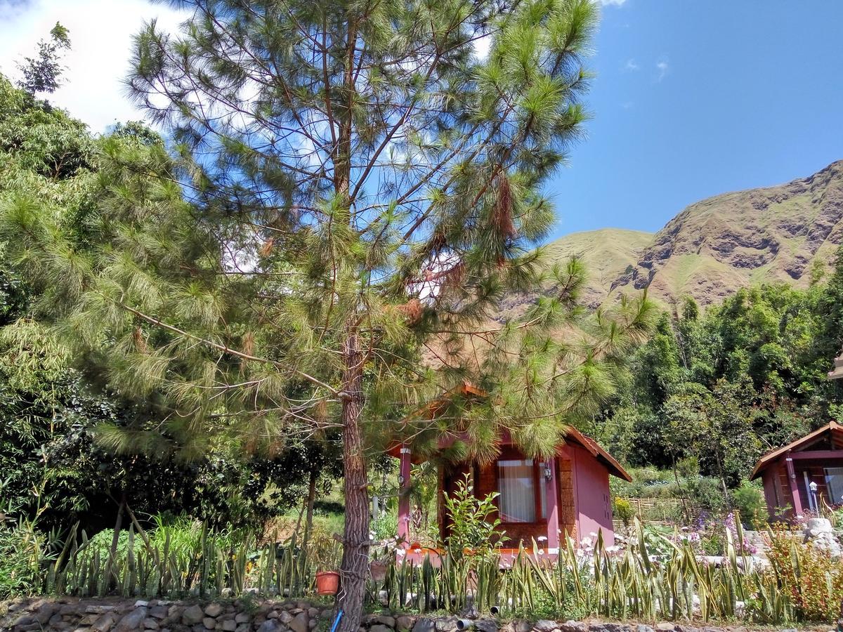 Sembalun Kita Cottage Sembalunlawang Kültér fotó